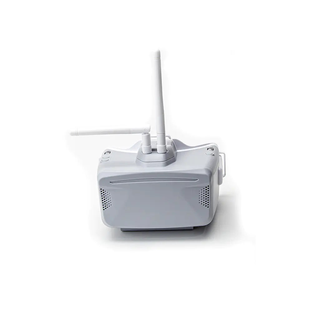 skyzone cobra sd fpv goggles